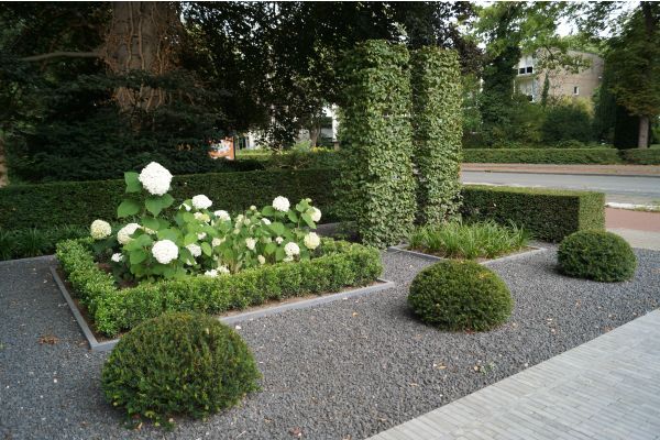 Borderbeplanting met blokbomen