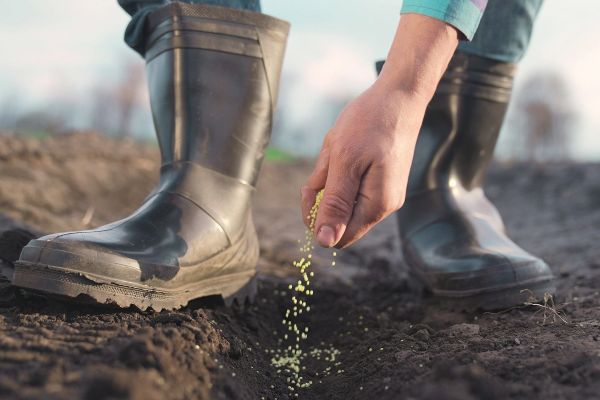 Meest gemaakte fouten bij het bemesten van je tuin