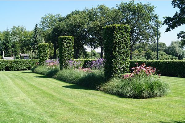 Strakke tuin met siergrassen