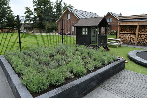 Voorbeeld border met Lavendel