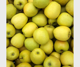 Golden delicious appels